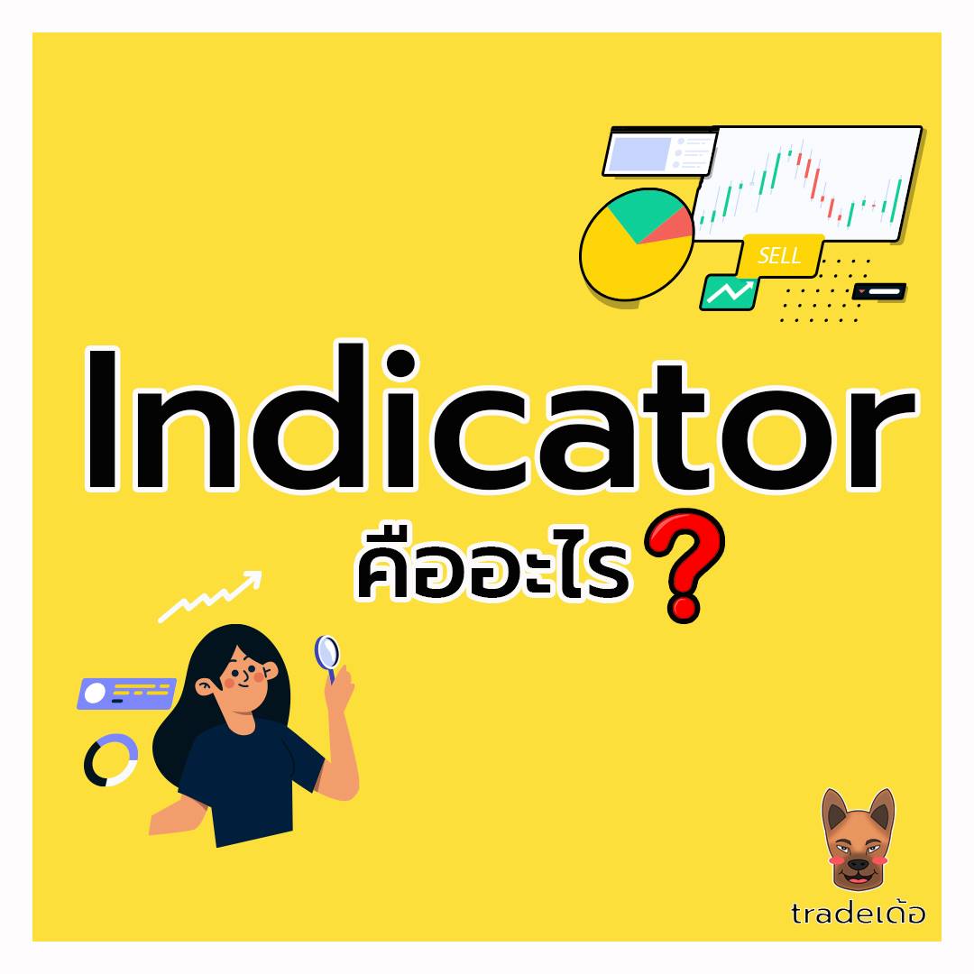 Indicator คืออะไร และมีประโยชน์อย่างไร?