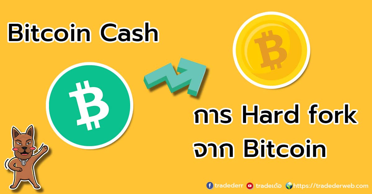 Bitcoin Cash คืออะไร ? Hard fork จาก Bitcoin คืออะไร ? เกี่ยวข้องกันอย่างไร