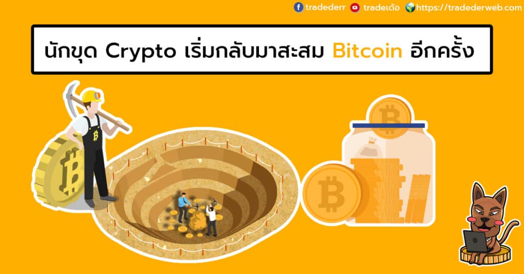 นักขุด Crypto เริ่มกลับมาสะสม Bitcoin อีกครั้ง