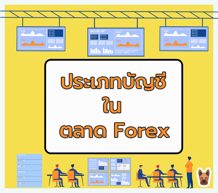 ประเภทบัญชีในตลาด Forex