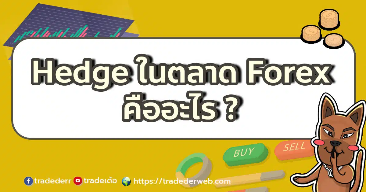 hedge ในตลาด Forex คืออะไร?