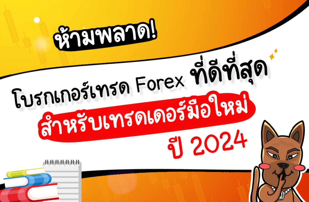 โบรกเกอร์เทรด Forex ที่ดีที่สุด สำหรับเทรดเดอร์มือใหม่ ปี 2024