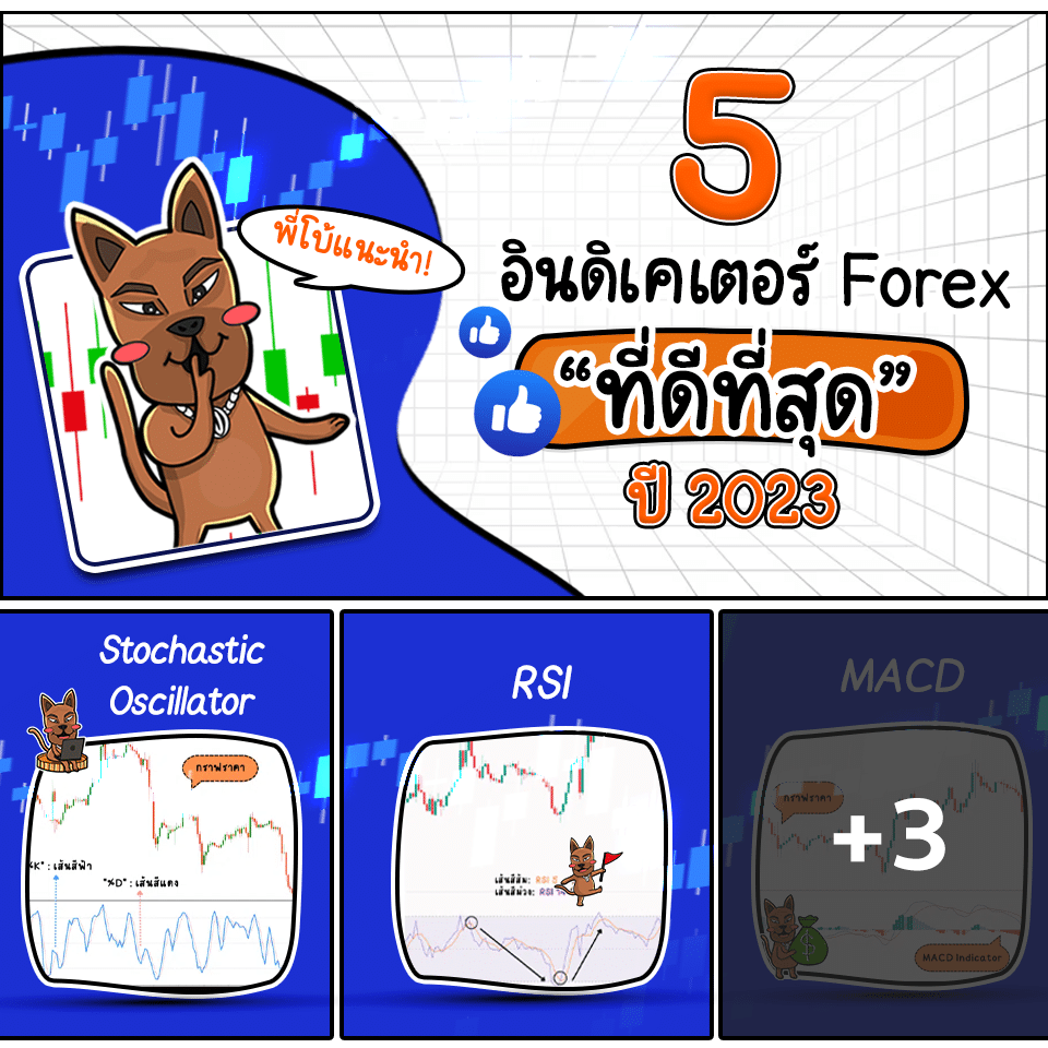 อินดิเคเตอร์ Forex