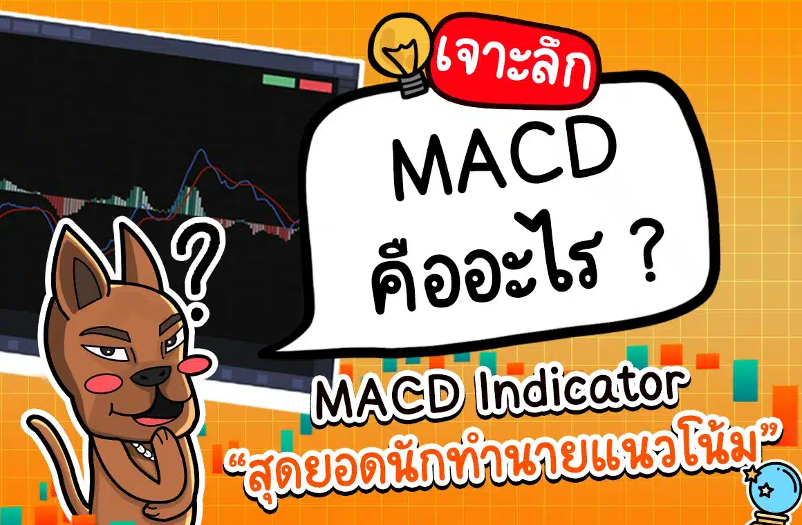 MACD คืออะไร? เจาะลึก MACD Indicator สุดยอดนักทำนายแนวโน้ม