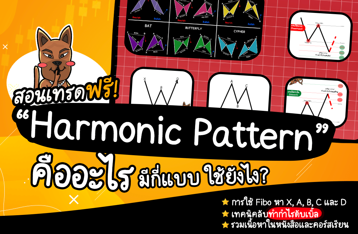 สอนฟรี! Harmonic Pattern คืออะไร มีกี่แบบ ใช้ยังไง? รวมเทคนิคในหนังสือและคอร์สเรียน Forex