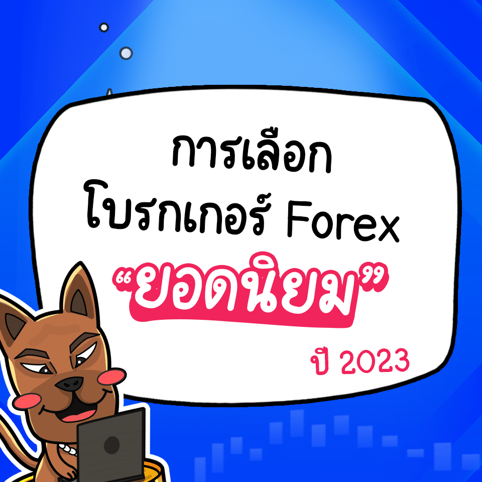 โบรกเกอร์เทรด Forex ยอดนิยม 2023
