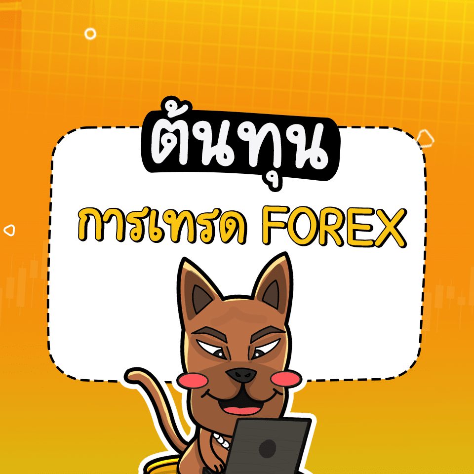 แนะนำโบรกเกอร์ Forex 2024