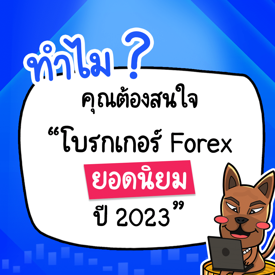 โบรกเกอร์เทรด Forex ยอดนิยม 2023