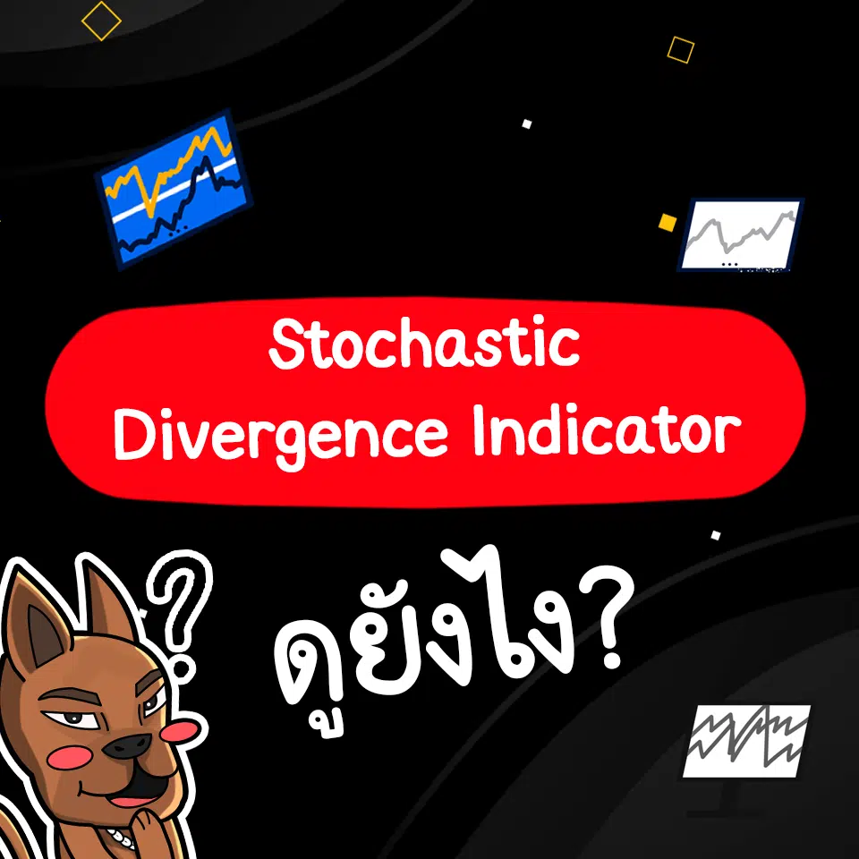 Stochastic Divergence Indicator ดูยังไง