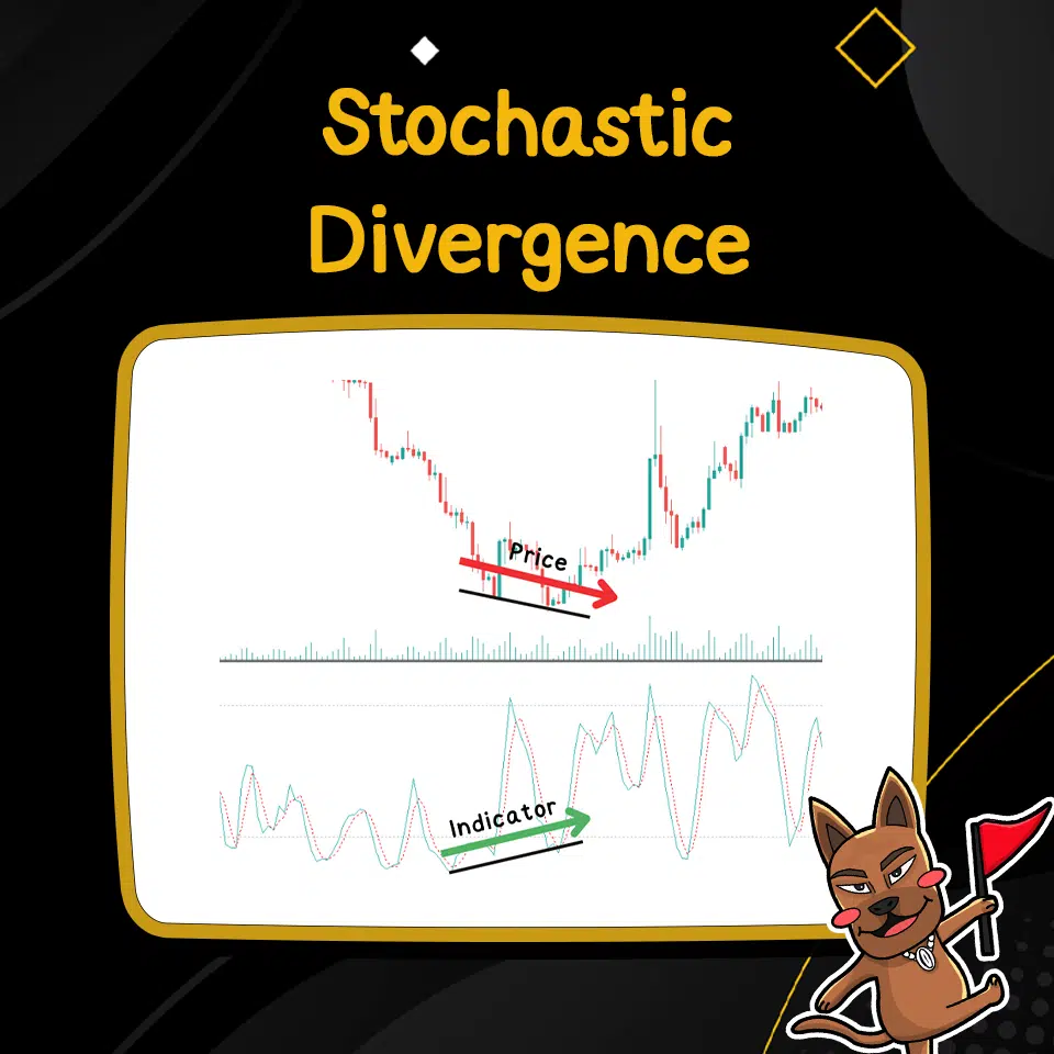 Stochastic Divergence