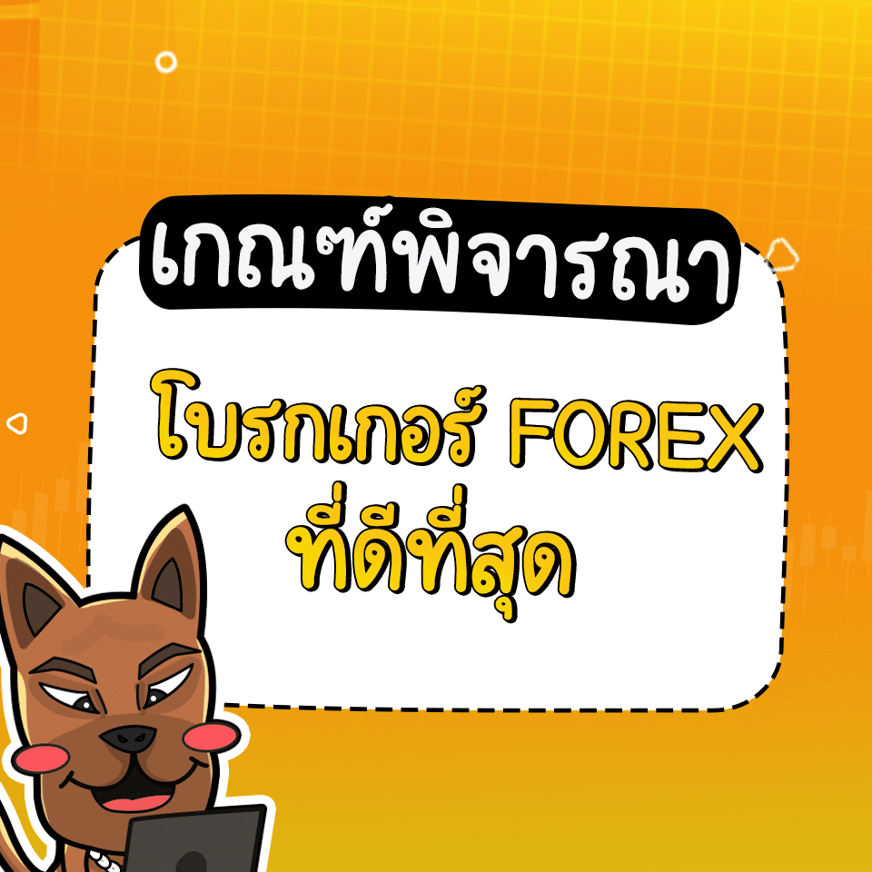 แนะนำโบรกเกอร์ Forex 2024