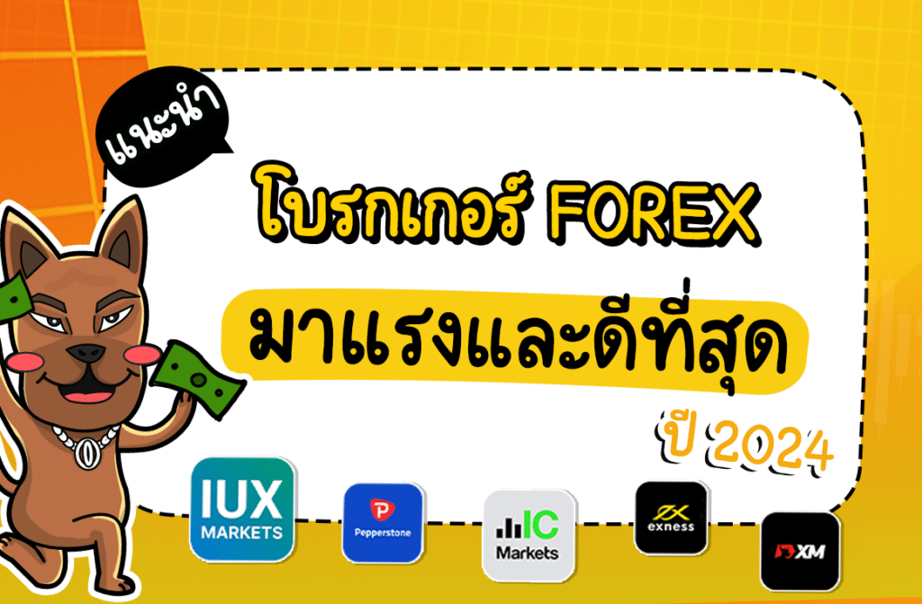 แนะนำโบรกเกอร์ Forex ที่ดีที่สุด ปี 2024