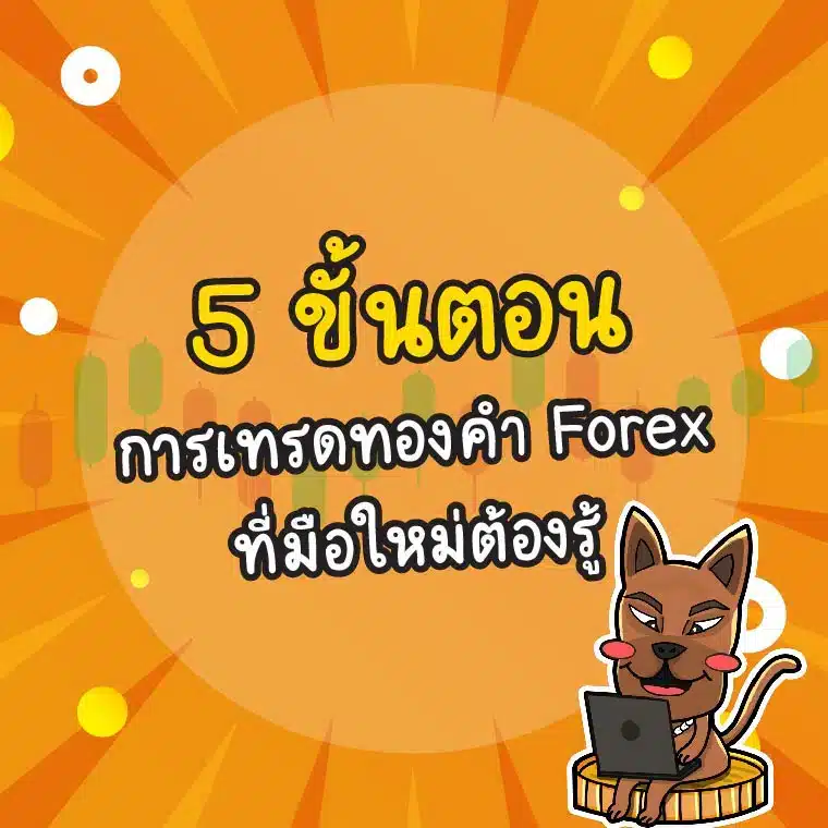 วิธีเทรดทอง Forex ที่มือใหม่ต้องรู้