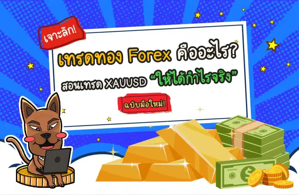 เทรดทอง Forex คืออะไร สอนเทรด XAUUSD