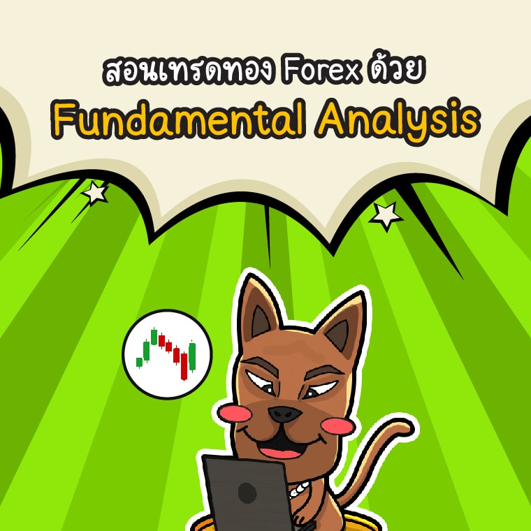 สอนเทรดทอง Forex มือใหม่ด้วย Fundamental Analysis