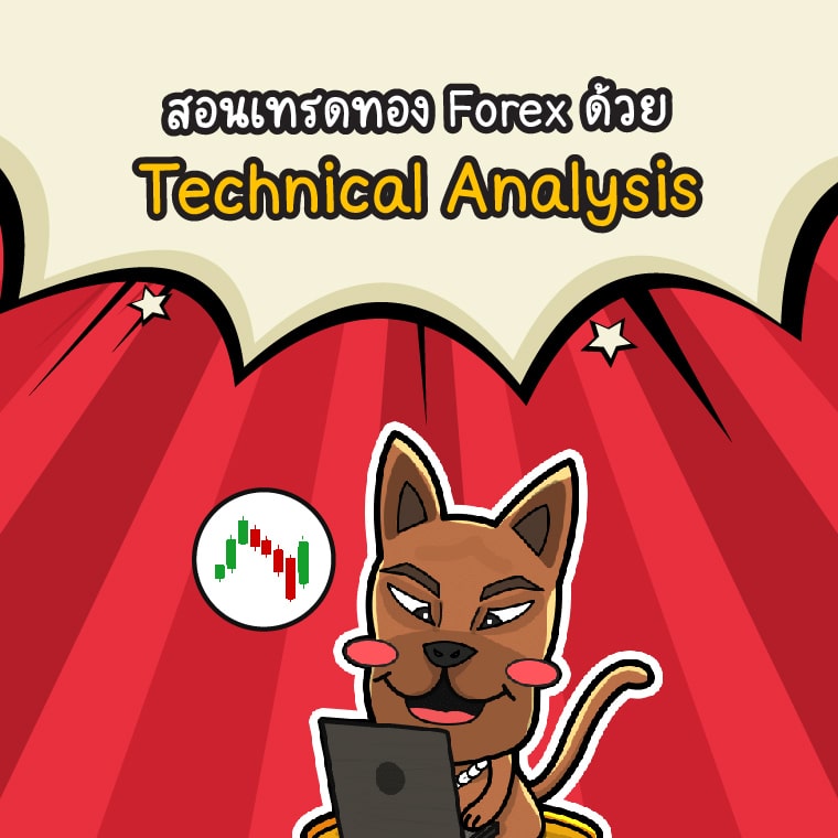 สอนเทรดทอง Forex มือใหม่ด้วย Technical Analysis