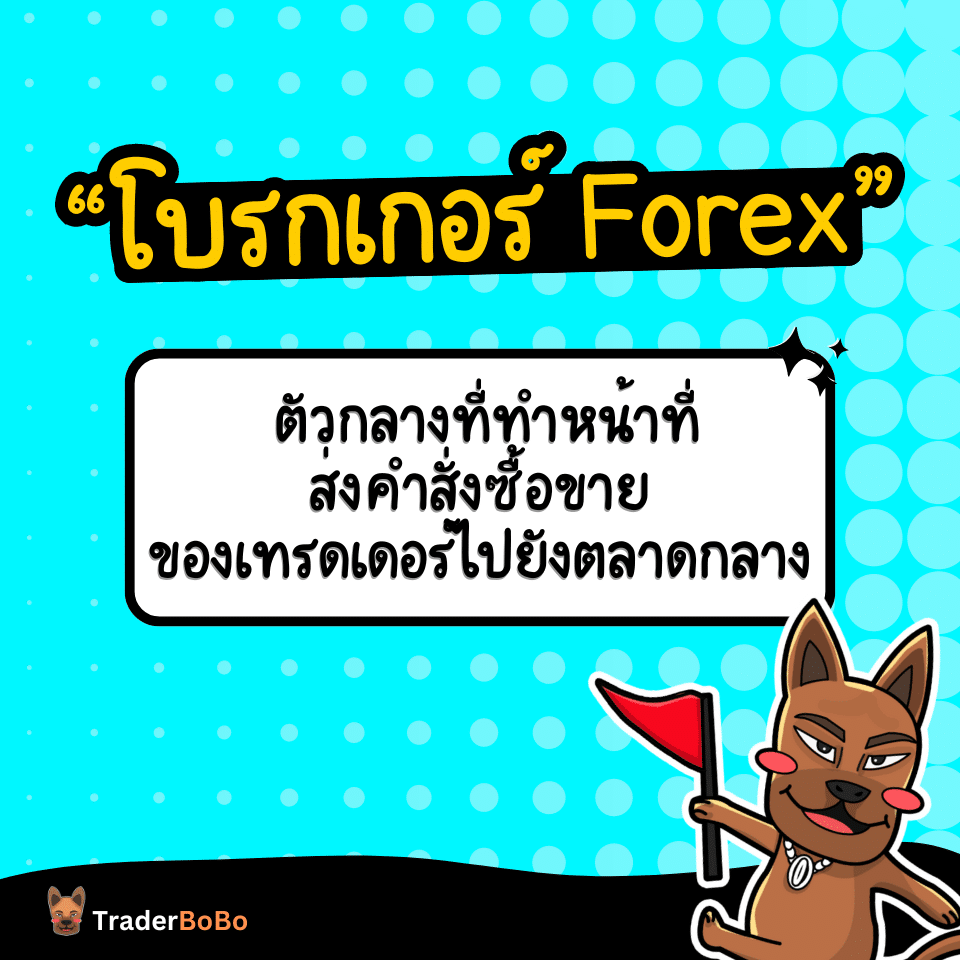 โบรกเกอร์เทรด Forex คืออะไร