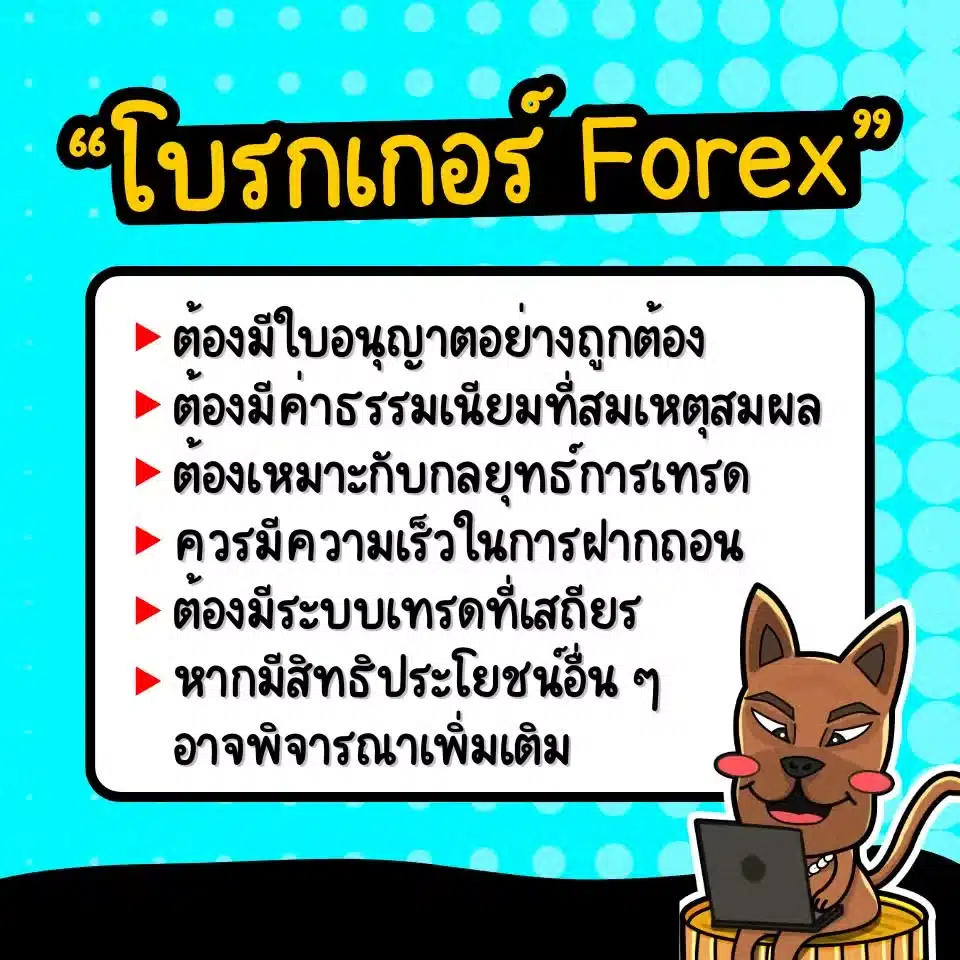 เทรด Forex โบรกไหนดี ปี 2025 เลือกยังไง