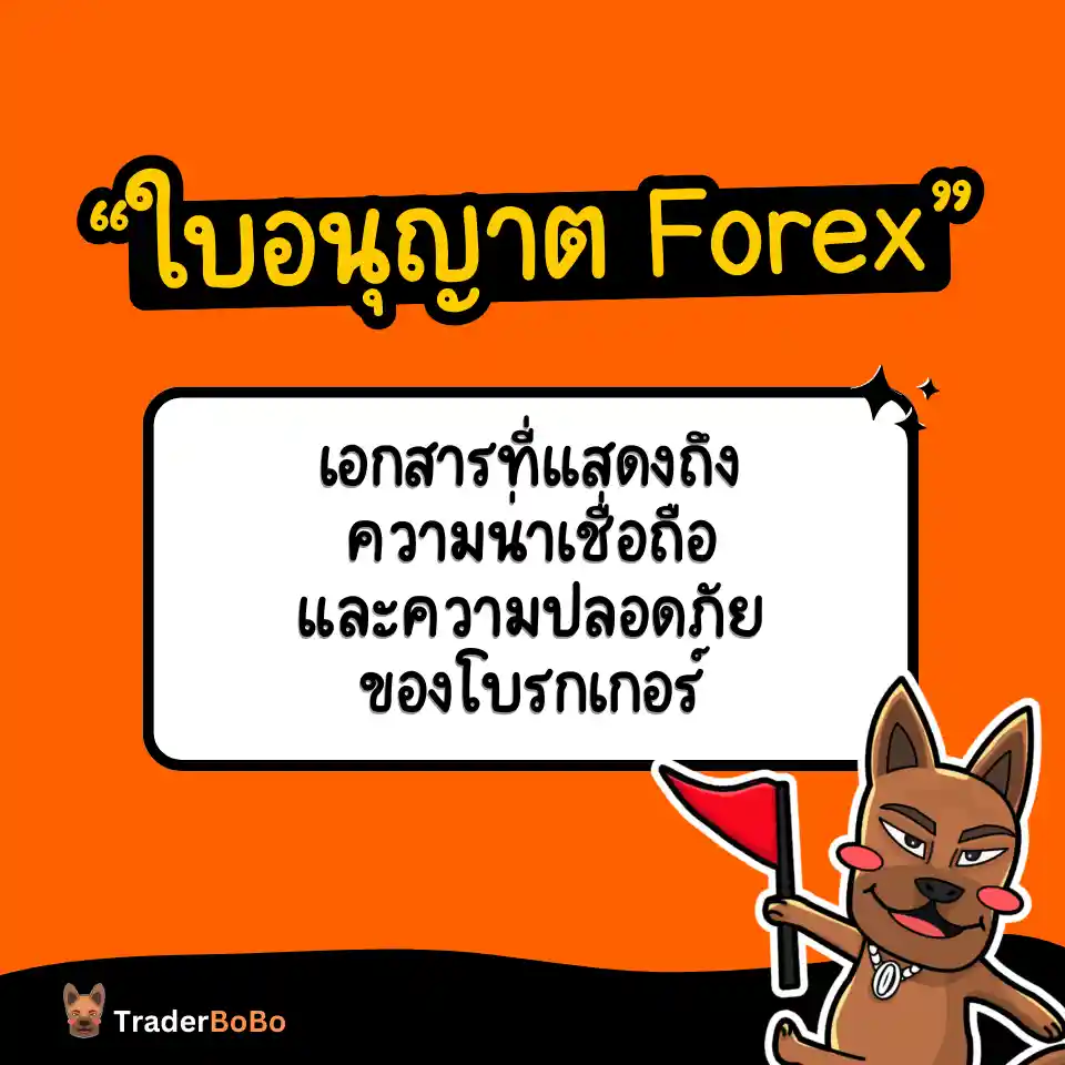 ความหมายของใบอนุญาต Forex