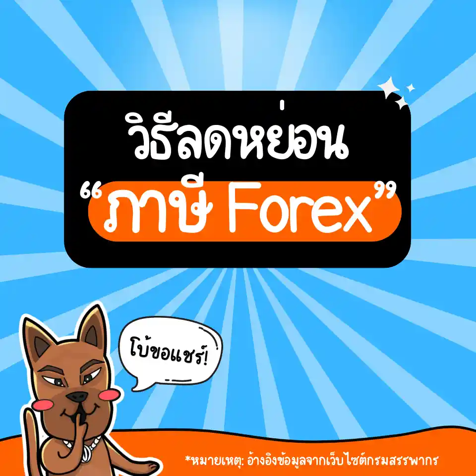 วิธีลดหย่อนภาษี Forex