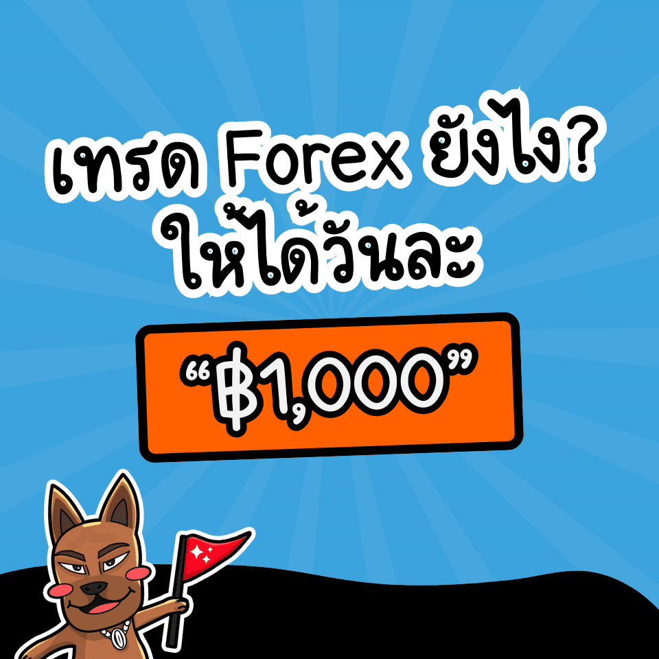 แผนการเทรด Forex ให้ได้วันละ 1000 บาท