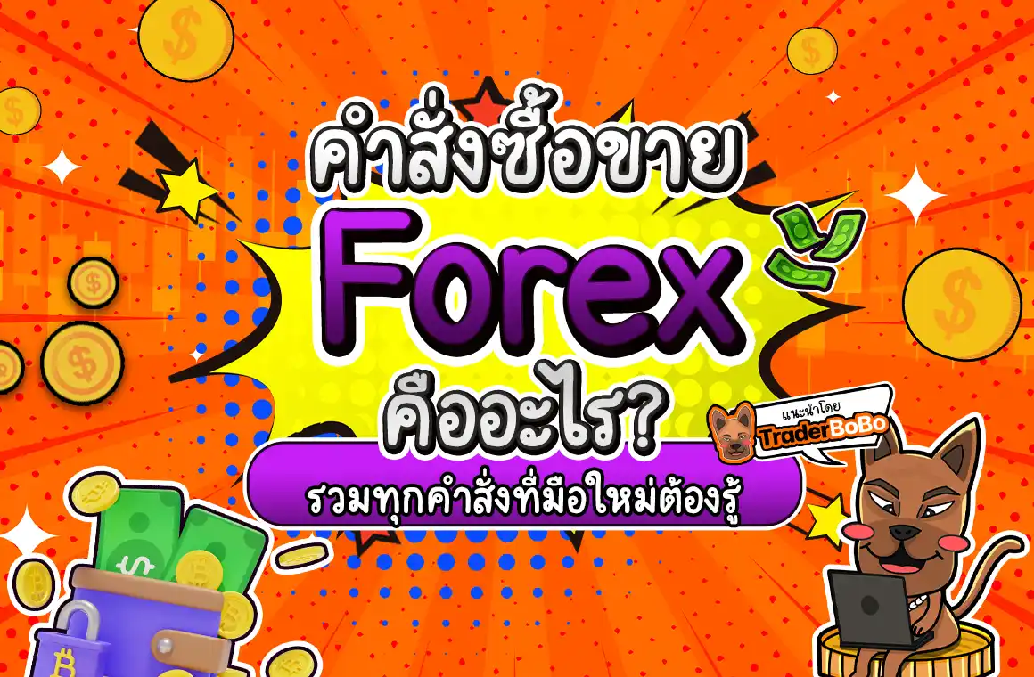 คำสั่งซื้อขาย Forex คืออะไร? รวมทุกคำสั่งที่มือใหม่ต้องรู้!