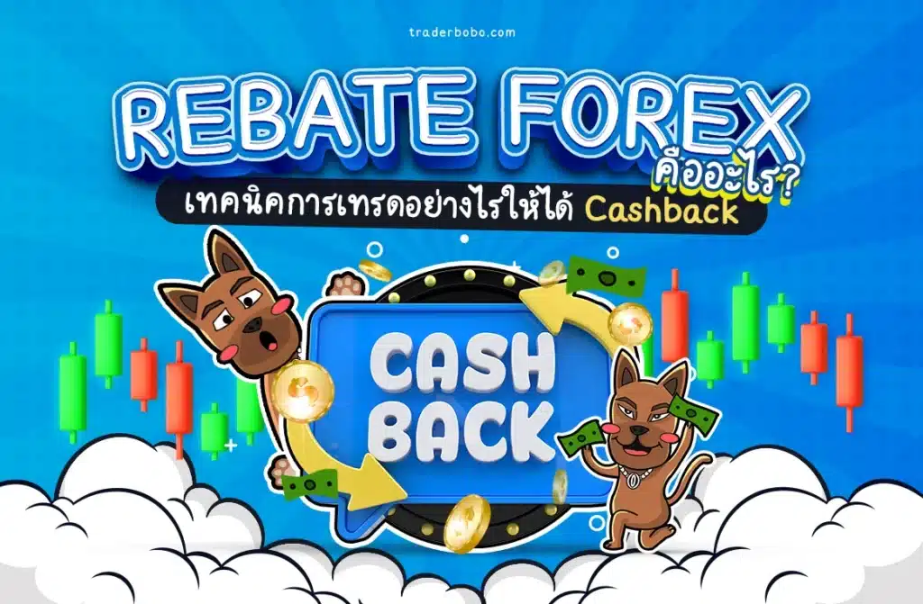 Forex Rebate คืออะไร? เทรด Forex ยังไงให้ได้ Cashback คืน