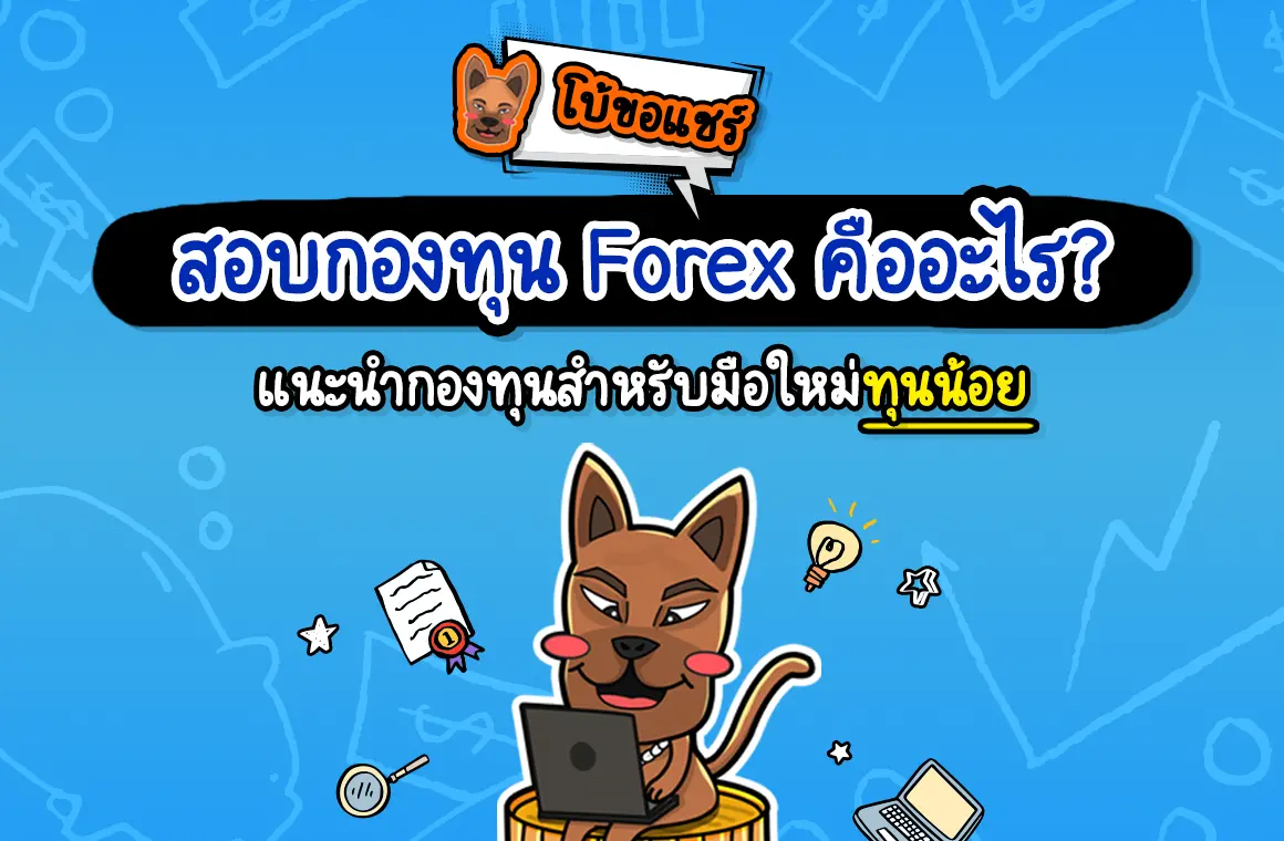 สอบกองทุน Forex คืออะไร? พร้อมแนะนำกองทุนไหนดี ปี 2025