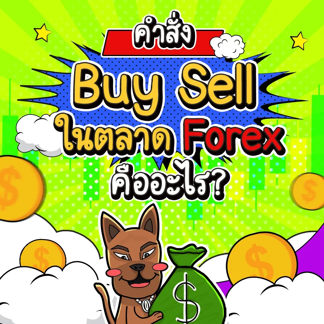 คำสั่ง Buy Sell ในตลาด Forex คืออะไร