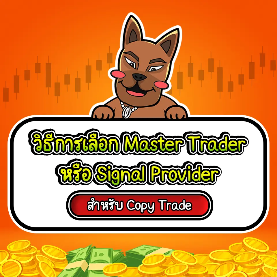 วิธีเลือก Master Trader และ Signal Provider วิธีเลือก Master Trader และ Signal Provider