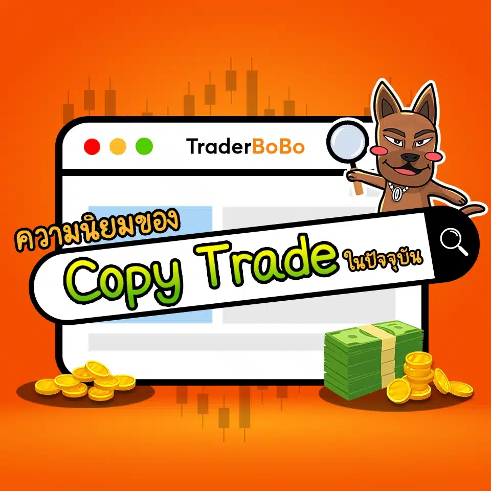 ความนิยมของการ Copy Trade ในปัจจุบัน ความนิยมของการ Copy Trade ในปัจจุบัน