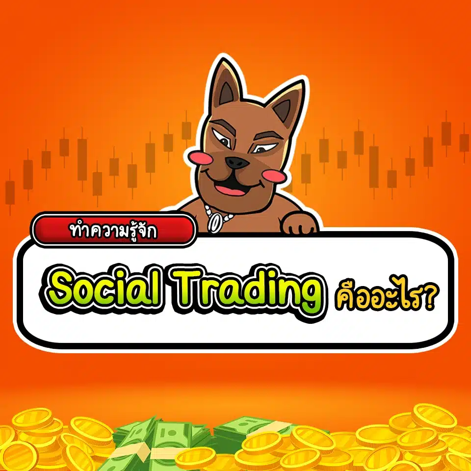 Social Trading คืออะไร Social Trading คืออะไร