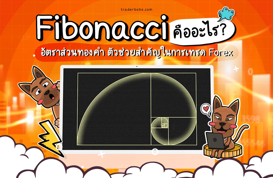 Fibonacci คืออะไร? อัตราส่วนทองคำแผนที่สำคัญในการเทรด Forex