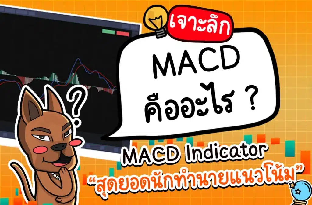 MACD คืออะไร? เจาะลึก MACD Indicator สุดยอดนักทำนายแนวโน้ม