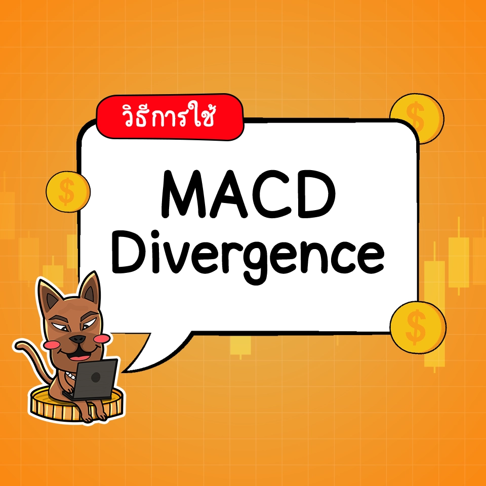 วิธีใช้ MACD Divergence