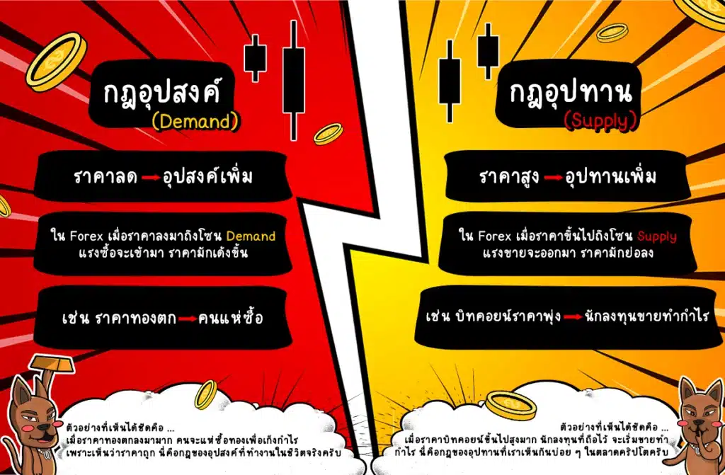 กฎของอุปสงค์และอุปทาน กฎของอุปสงค์และอุปทาน