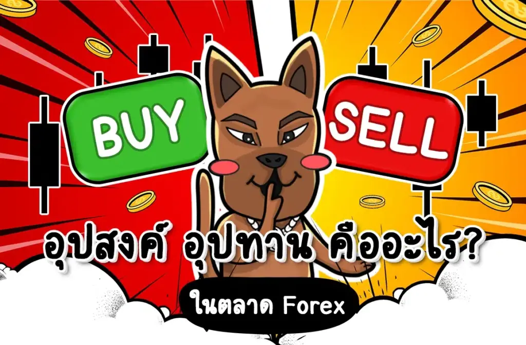 ดีมาน ซัพพลาย คืออะไร? หลักการพื้นฐานในตลาด Forex