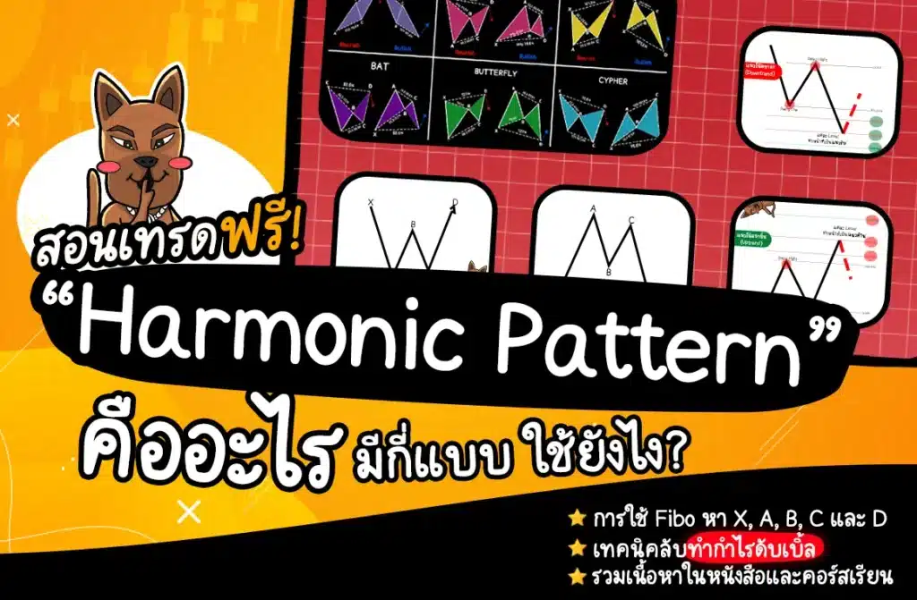 Harmonic Pattern คืออะไร มีกี่แบบ? รวมทุกเทคนิคที่คุณควรรู้!