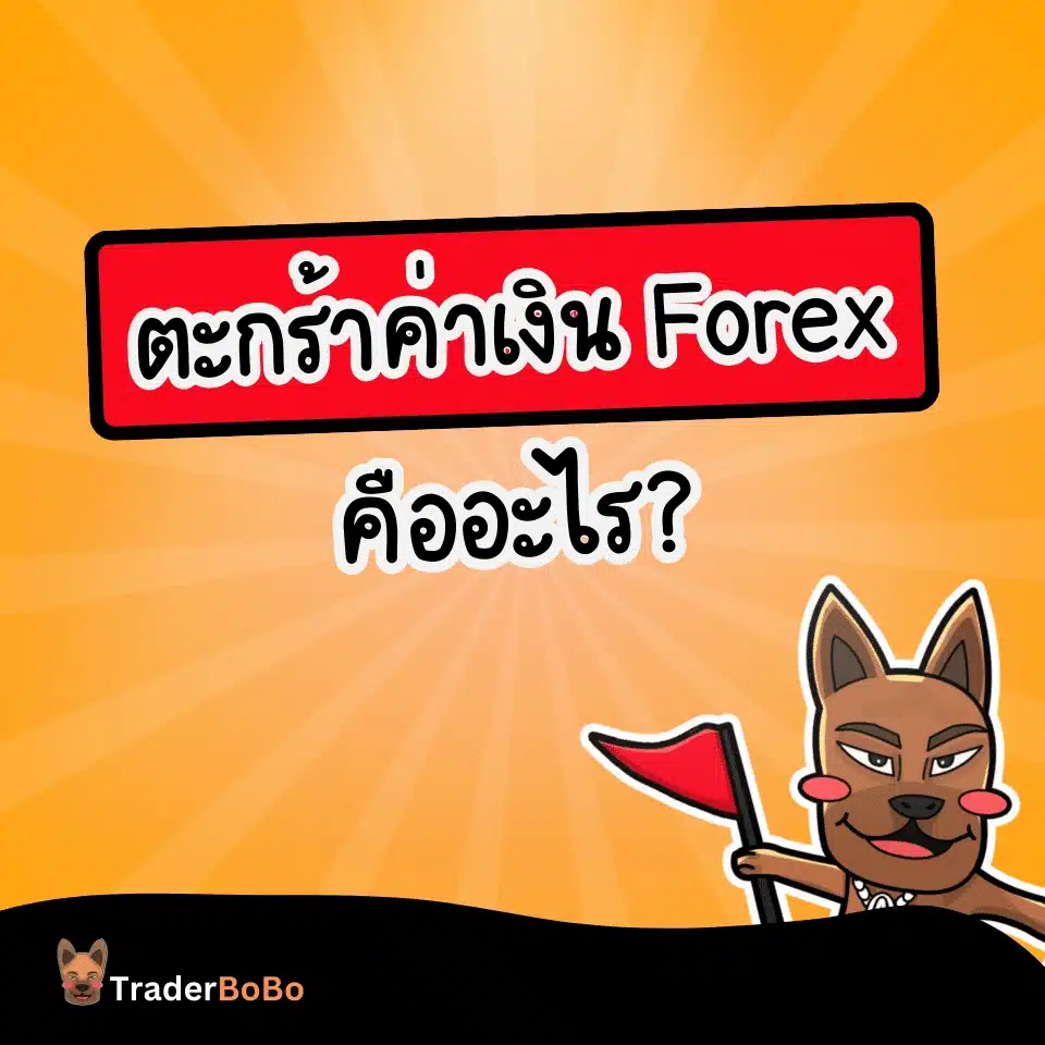 ตะกร้าค่าเงิน Forex (Currency Basket)