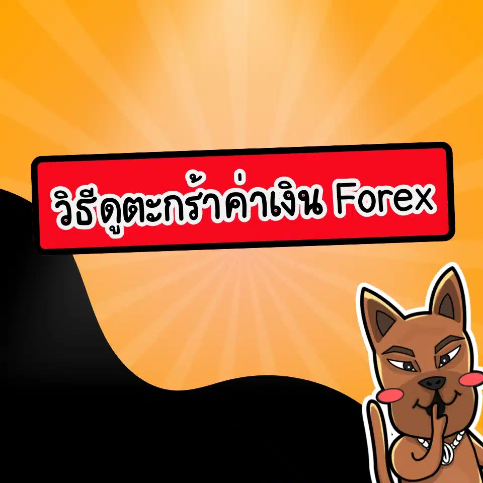 วิธีดูตะกร้าค่าเงิน Forex