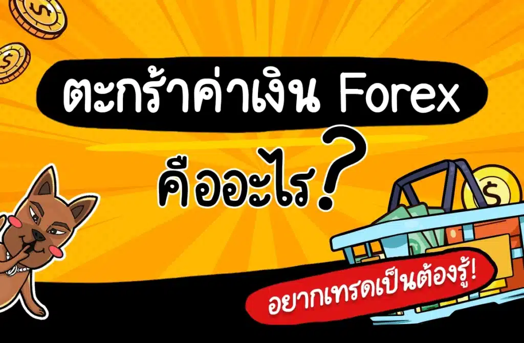 ตะกร้าค่าเงิน Forex คืออะไร