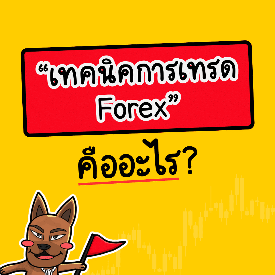 เทคนิคการเทรด Forex คืออะไร