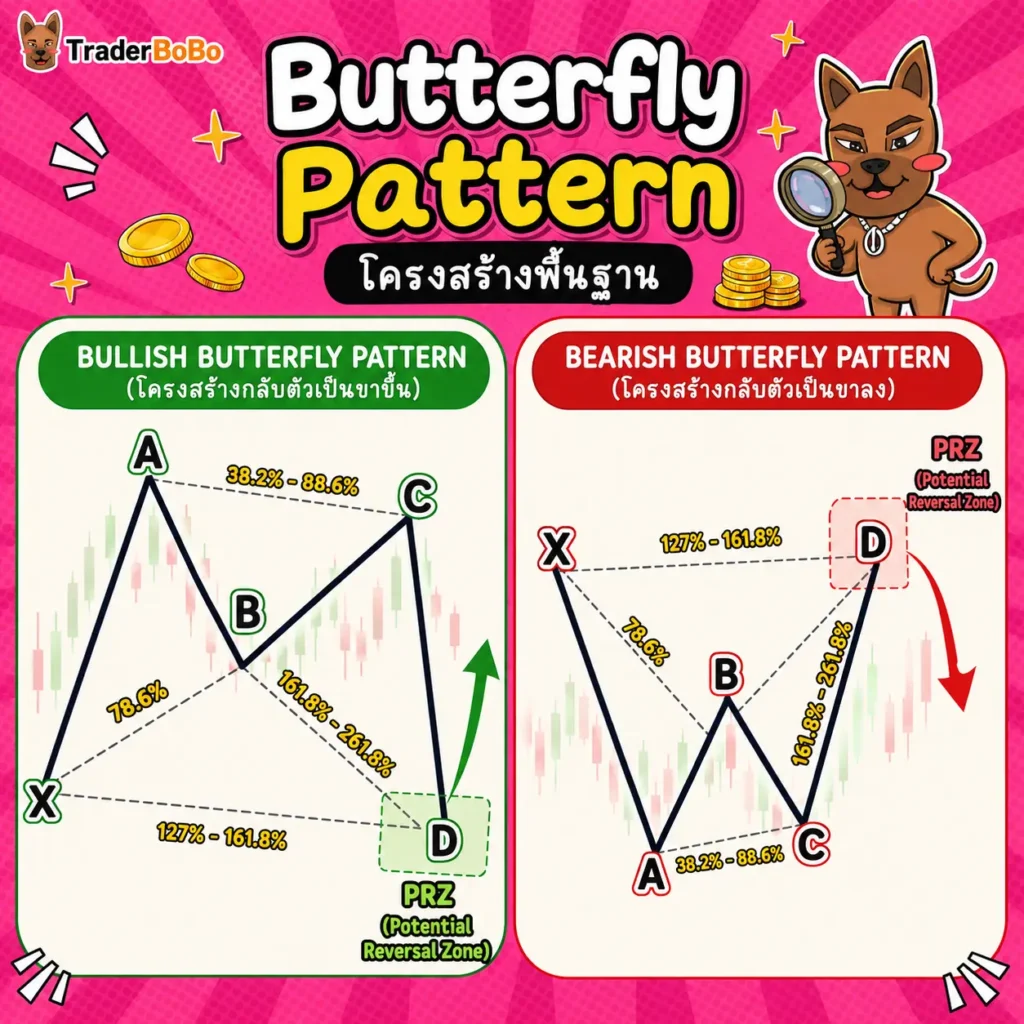 โครงสร้างพื้นฐานของ Butterfly Pattern ทั้งฝั่งขาขึ้นและขาลง โครงสร้างพื้นฐานของ Butterfly Pattern ทั้งฝั่งขาขึ้นและขาลง