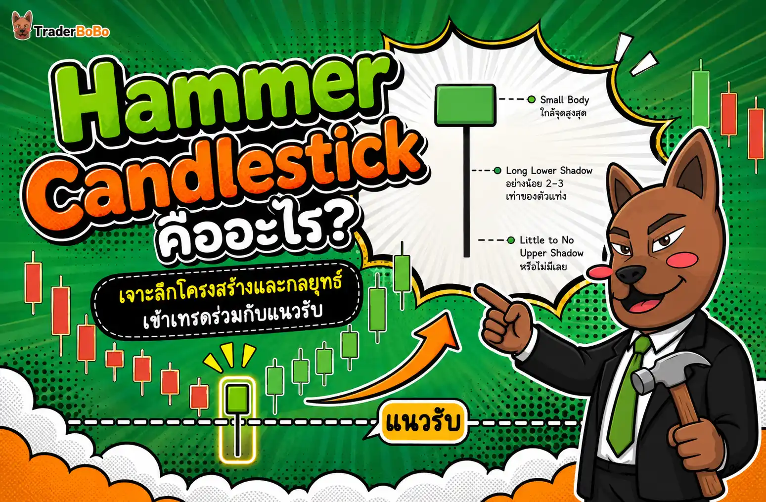 Hammer Candlestick คืออะไร? เจาะลึกโครงสร้างและกลยุทธ์เข้าเทรดร่วมกับแนวรับ