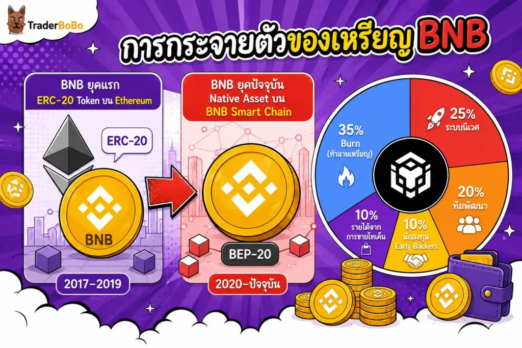 โครงสร้างและการกระจายตัวของเหรียญ BNB จาก ERC-20 สู่ BEP-20