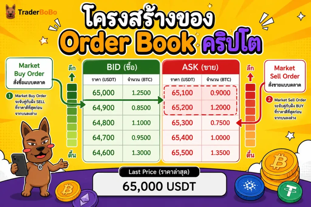 โครงสร้างของ Order Book คริปโต และตำแหน่งการจับคู่คำสั่ง Market Order โครงสร้างของ Order Book คริปโต และตำแหน่งการจับคู่คำสั่ง Market Order