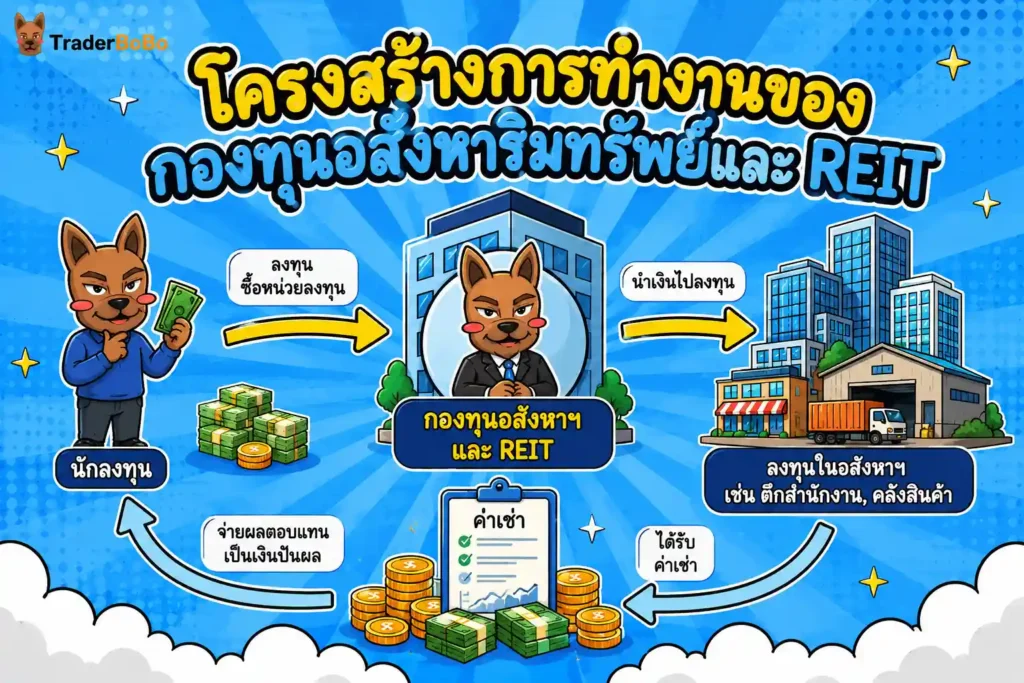 โครงสร้างการทำงานของกองทุนอสังหาริมทรัพย์และ REIT โครงสร้างการทำงานของกองทุนอสังหาริมทรัพย์และ REIT