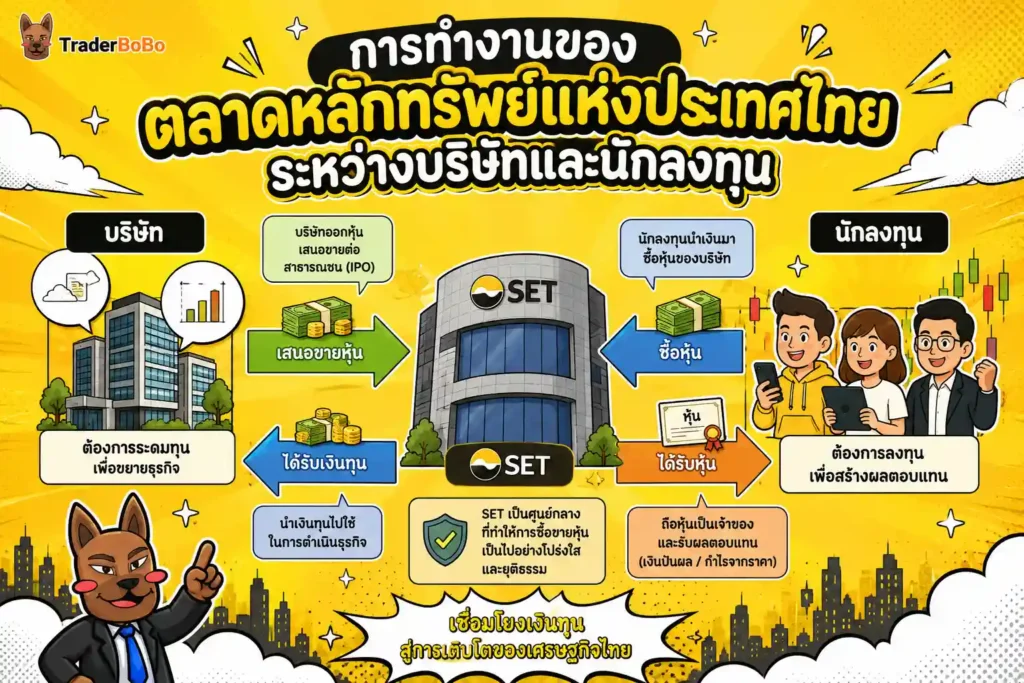 การทำงานของตลาดหลักทรัพย์แห่งประเทศไทยระหว่างบริษัทและนักลงทุน แผนภูมิแสดงกลไกการทำงานของตลาดหลักทรัพย์แห่งประเทศไทยระหว่างบริษัทและนักลงทุน