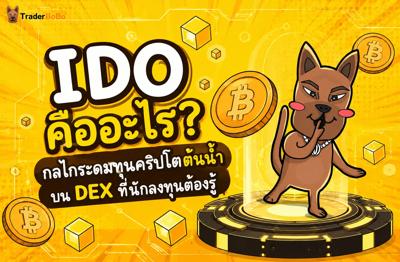 IDO คืออะไร? กลไกระดมทุนคริปโตต้นน้ำบน DEX ที่นักลงทุนควรรู้