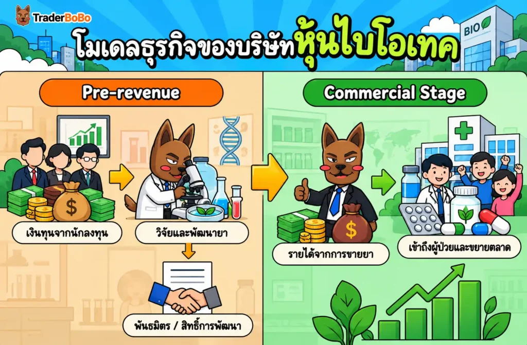 โครงสร้างโมเดลธุรกิจของบริษัทหุ้นไบโอเทค Pre-revenue และ Commercial Stage โครงสร้างโมเดลธุรกิจของบริษัทหุ้นไบโอเทค Pre-revenue และ Commercial Stage